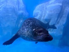 -多彩贵州城极地海洋世界