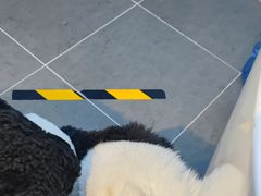 -萌兽医馆·眼科·异宠专科(三里屯店)