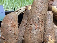 -王婆炒鱼(总店)