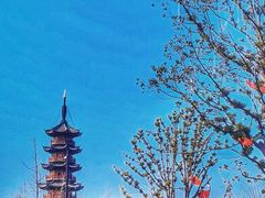 -龙华寺
