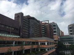 -香港大学