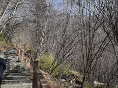 -叠溪松坪沟景区