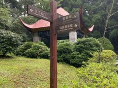 -庐山风景区花径公园