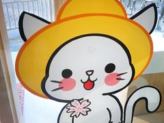 -古力古利托育早教中心(澳门路校区)