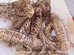 -宾朋海鲜饭庄(兴海路店)