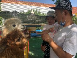 点击看大图 -萌宠亲子动物乐园(槐房万达店)