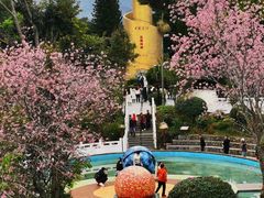 -墨江北回归线标志园