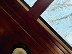 -合肥滨湖国家森林公园