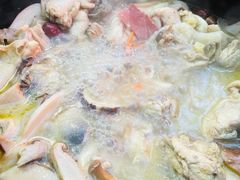 -蘑统田下·野生菌火锅