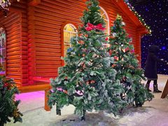 -宁波冰雪大世界(北仑区)