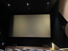-英皇电影城(平安金融中心IMAX激光店)