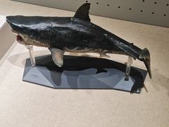 -辽宁古生物博物馆