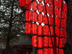 -红螺寺