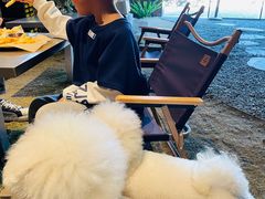 -J Create城市露营咖啡·简餐·宠物(上海动物园店)