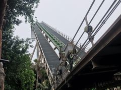 -鹦鹉过山车