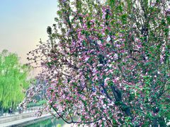 -元大都城垣遗址公园