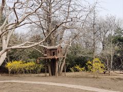 -香山公园