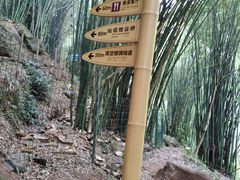 -川西竹海景区