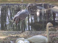 -艾溪湖湿地公园