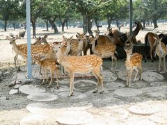 -西安秦岭野生动物园
