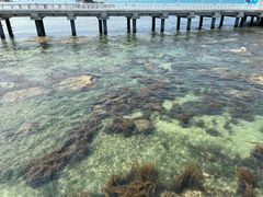 -三亚西岛海洋文化旅游区