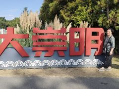 -上海长兴岛郊野公园