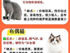 -lincat·猫舍(广州店)