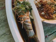 -掌勺人鱼馆(朝阳镇店)
