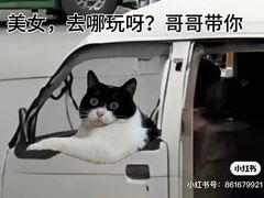 -陈氏肥蛤(小纬六路总店)