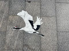 -盐城丹顶鹤湿地生态旅游区