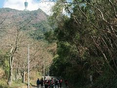 -梧桐山风景名胜区