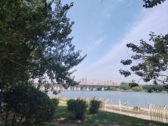 -长白岛森林公园