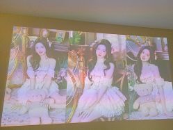 -左岸摄影写真(天津旗舰店)