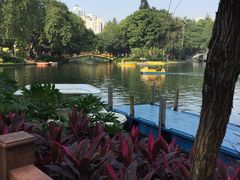 -晓港公园