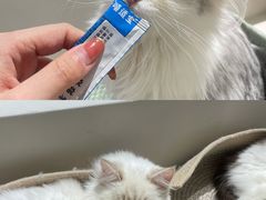 -怪兽屋·羊驼·猫咖·狗咖(俊华广场店)