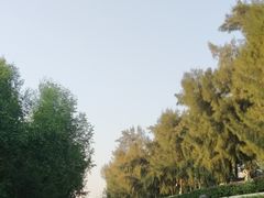 -宝安西湾红树林湿地公园