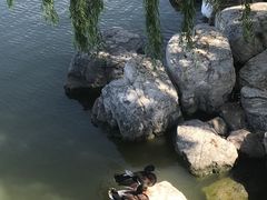 -天津东丽湖风景区