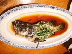 清蒸青斑鱼-頂好酒家·经典粤菜(海信广场店)