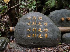 -江西阳明山国家森林公园