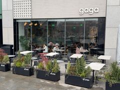 -gaga(北京新中关购物中心店)