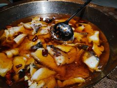 -雲蜀龙阁·金牌水煮鱼(方庄店)