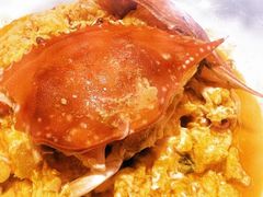 -连鹭海鲜·海肠捞饭·海胆饭(星海店)