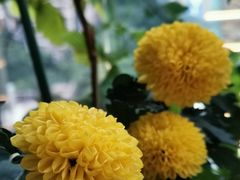 -思训家卡耐基中国口才培训(渝中校区)