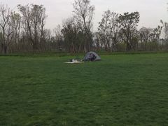 -白鹭湾湿地公园