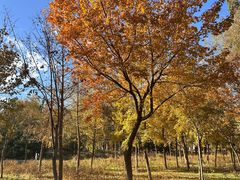 -贵凤凰贵州米粉(望京店)