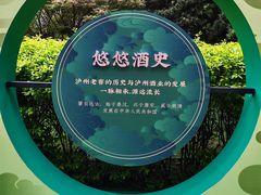 -泸州老窖景区