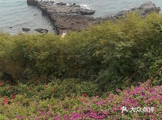 海·街日记（冬日北海旅游行程单）
