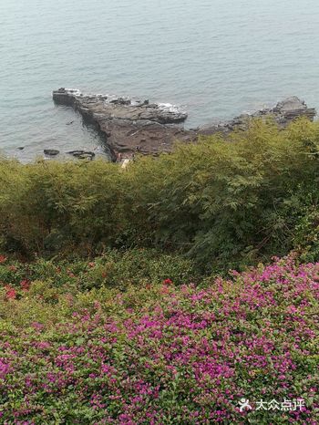 海·街日记(冬日北海旅游行程单)
