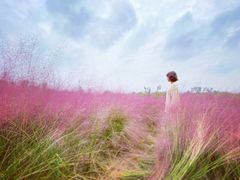 -白鹭湾湿地公园