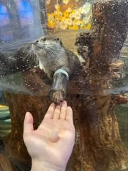 -Zoolung Zoolung动物主题公园(海信广场店)